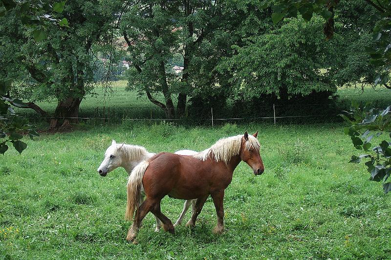2010-06- (31).JPG